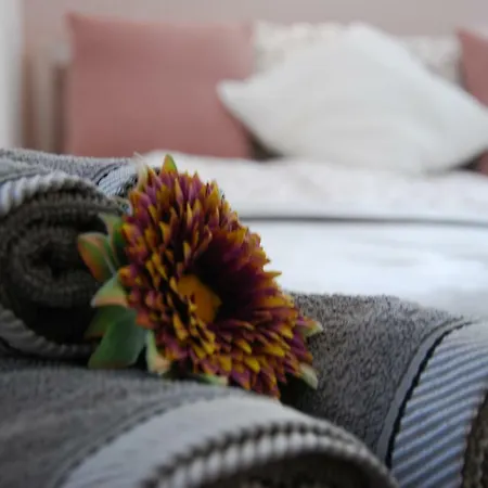 Varvoelgy Vendeghaz - Teljes Haz, Kizarolagos Hasznalattal