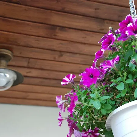 Várvölgy - Teljes Ház, Kizárólagos Használattal Villa Veszprém