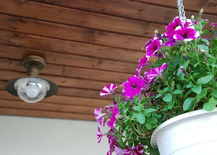 Varvoelgy Vendeghaz - Teljes Haz, Kizarolagos Hasznalattal Villa Veszprém